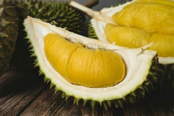 jenis durian paling mahal