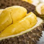 Inilah 6 Tahapan Budidaya Durian Musang King yang Baik dan Benar