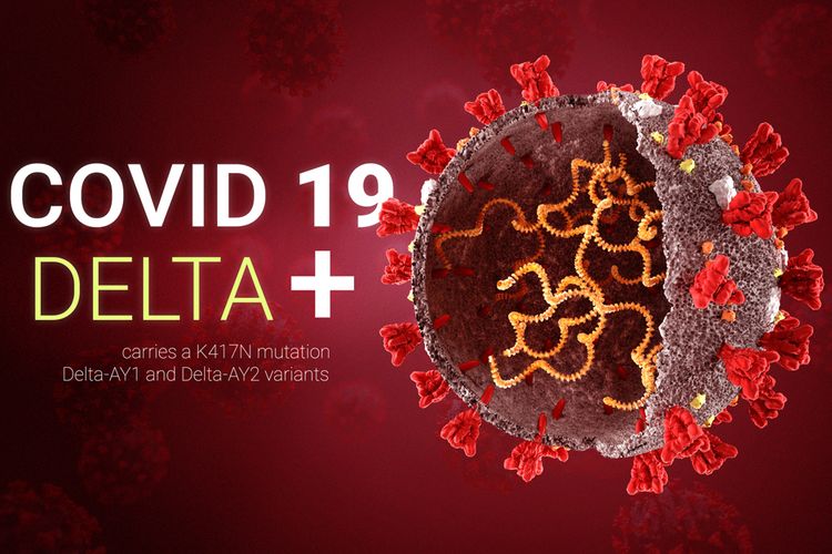 Varian Delta, Varian Virus Covid-19, dari India