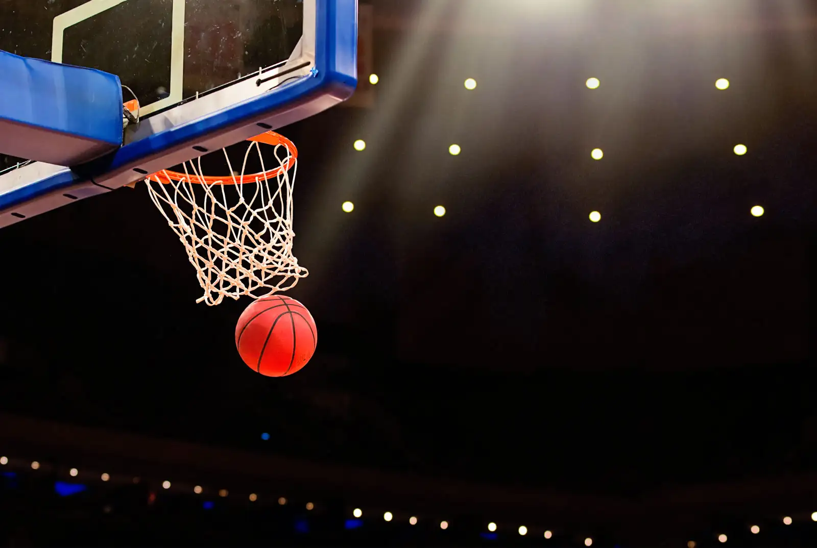 9 Nama Pemain Basket Dunia Terbaik, Prestasi Cemerlang